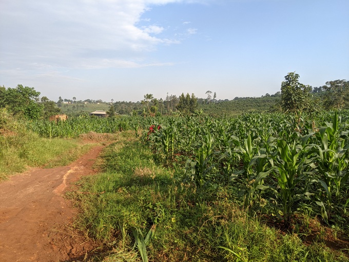 20260108A5.jpg 20260108A5.jpg