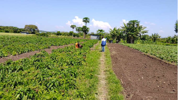 20260122f02.png 20260122f02.png