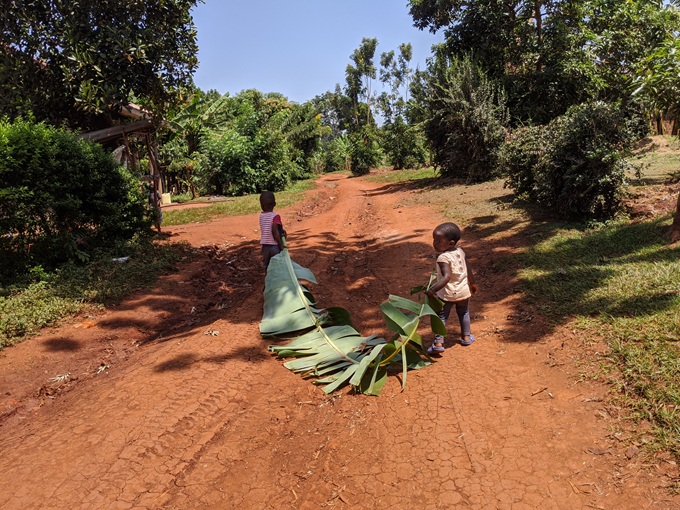 20260129A5.jpg 20260129A5.jpg