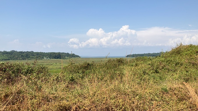 20261007A01.jpg 20261007A01.jpg