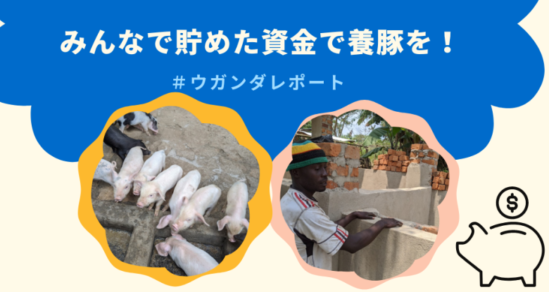 みんなで貯めた資金で養豚を！