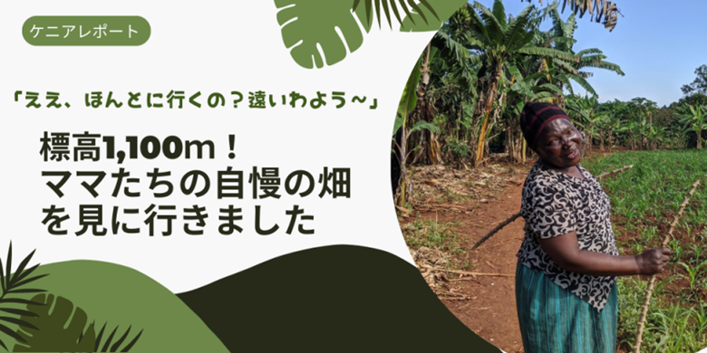 標高1,100ｍ！ママたちの自慢の畑を見に行きました
