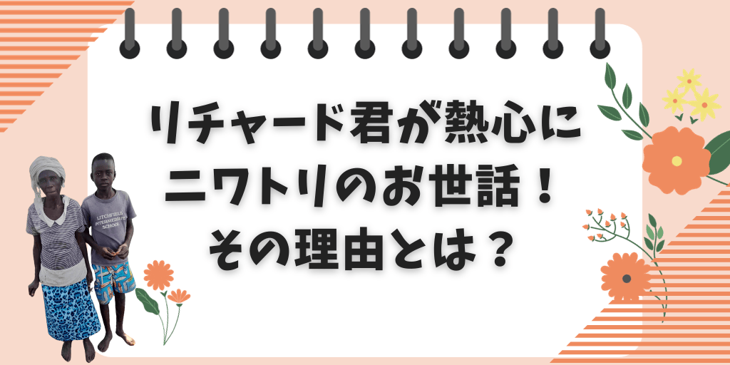 リチャードくんが熱心に鶏のお世話！その理由とは？