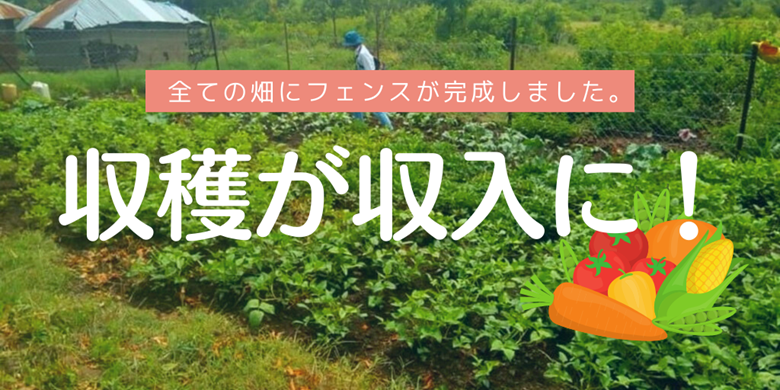 緑溢れる畑が家族の未来を明るくしていく