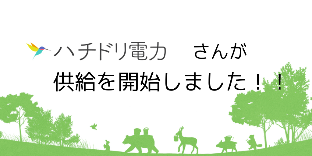 ハチドリ電力が供給を開始しました！